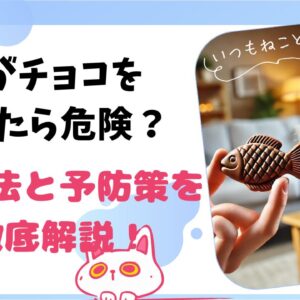 猫がチョコを舐めたら危険？対処法と予防策を徹底解説！