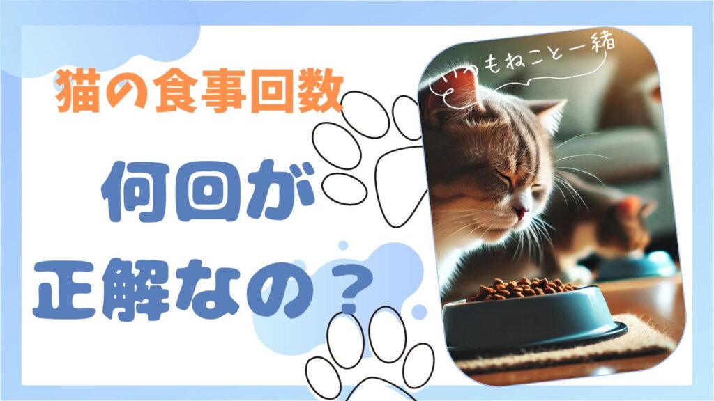 猫の食事回数を減らし方法とは？適切な回数ってどれくらい？