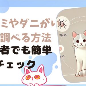 猫にノミやダニがいるか調べる方法と予防策、初心者でも簡単チェック