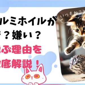 猫はアルミホイルが好き？嫌い？飛ぶ理由を徹底解説！安全対策も紹介